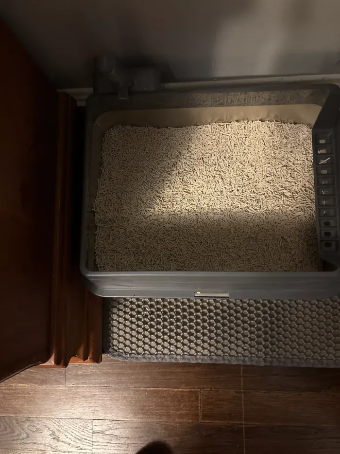 Kattenbak met RITCO bij een klant — Makkelijker schoonmaken